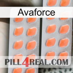 Avaforce 27